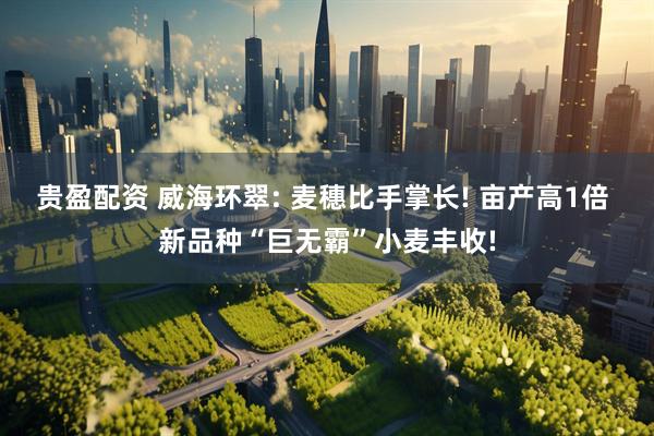 贵盈配资 威海环翠: 麦穗比手掌长! 亩产高1倍 新品种“巨无霸”小麦丰收!