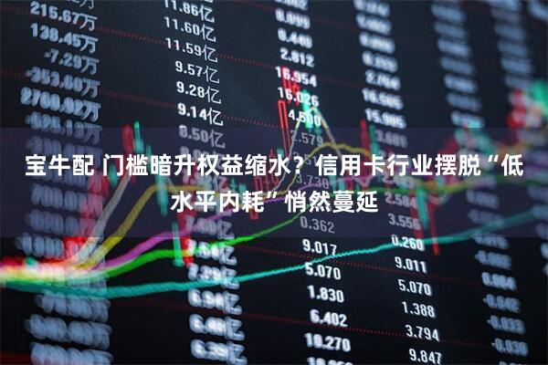 宝牛配 门槛暗升权益缩水？信用卡行业摆脱“低水平内耗”悄然蔓延
