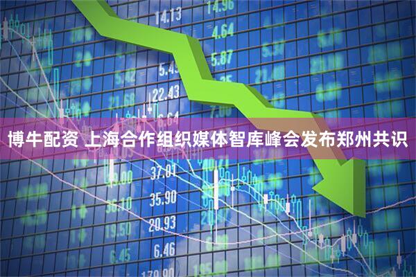 博牛配资 上海合作组织媒体智库峰会发布郑州共识