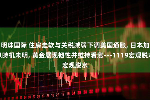 明珠国际 住房走软与关税减弱下调美国通胀, 日本加息時机未明, 黄金展现韧性并维持看涨---1119宏观脱水