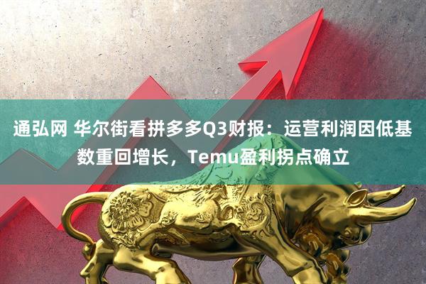 通弘网 华尔街看拼多多Q3财报：运营利润因低基数重回增长，Temu盈利拐点确立