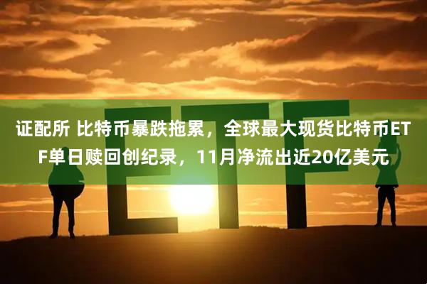 证配所 比特币暴跌拖累，全球最大现货比特币ETF单日赎回创纪录，11月净流出近20亿美元