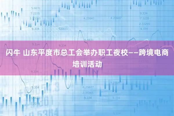 闪牛 山东平度市总工会举办职工夜校——跨境电商培训活动