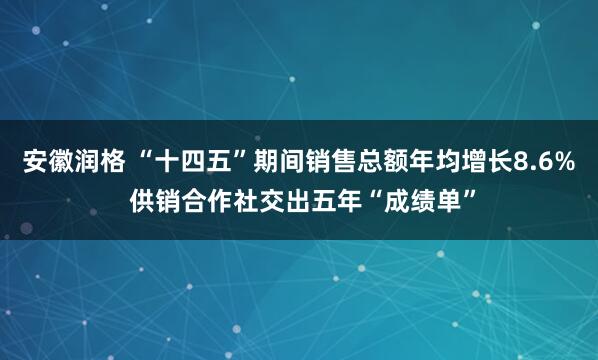 安徽润格 “十四五”期间销售总额年均增长8.6% 供销合作社交出五年“成绩单”