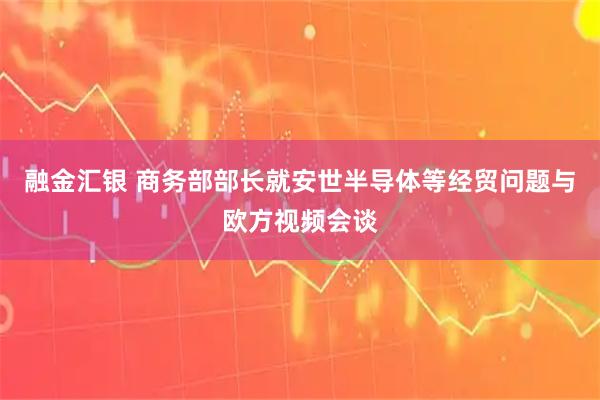 融金汇银 商务部部长就安世半导体等经贸问题与欧方视频会谈