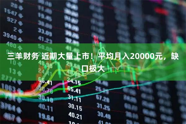 三羊财务 近期大量上市！平均月入20000元，缺口极大