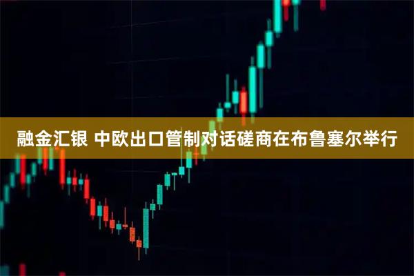 融金汇银 中欧出口管制对话磋商在布鲁塞尔举行