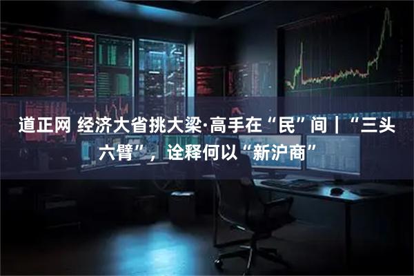 道正网 经济大省挑大梁·高手在“民”间|“三头六臂”,诠释何以“新沪商”