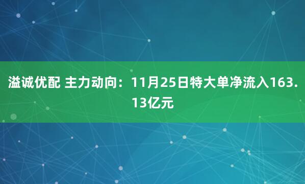 溢诚优配 主力动向:11月25日特大单净流入163.13亿元